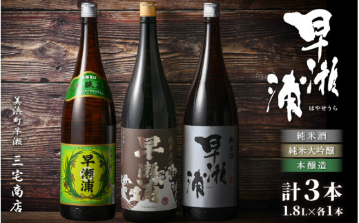 【早瀬浦】純米大吟醸 1800ml ＆ 純米酒 1800ml ＆ 本醸造 1800ml × 各1本ずつ セット【入手困難 飲み比べ 日本酒 地酒 福井 美浜 早瀬 フルーティ 男酒 硬水 ミネラル 希少 ご褒美 家飲み】[m16-e005] 975420 - 福井県美浜町