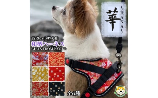 【 京都西陣金襴織 】小型犬ハーネス 華（寿）【柴犬コウタのハッピィショップ】 746515 - 京都府京都市