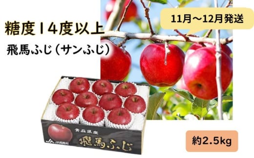 りんご 【11月～12月発送】 糖度14度以上 「 飛馬ふじ 」（ サンふじ ）約 2.5kg 【 弘前市産 青森りんご 】 684404 - 青森県弘前市