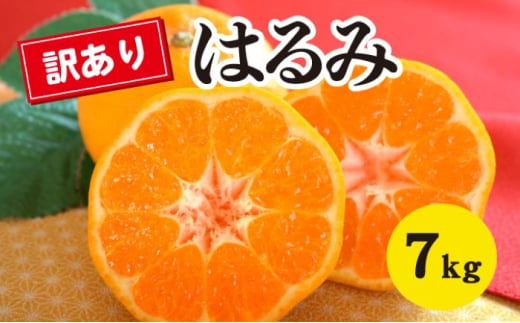  【ふるさと納税】【数量限定】≪訳アリ≫はるみ ＜約７kg＞  家庭用 密柑 完熟 果物類 柑橘類 みかん フルーツ 糖度 甘い 濃厚 コク ジューシー 国産 広島三原産 産地直送 傷 017052