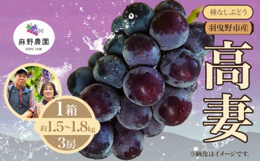 【2025年先行予約】高妻 (種なしぶどう) 約1.5~1.8kg (3房) 麻野農園《2025年8月上旬-9月上旬頃出荷》大阪府 羽曳野市 ぶどう 果物 フルーツ 葡萄 1461911 - 大阪府羽曳野市