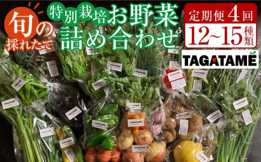 【定期便全4回】旬の採れたて 12～15種類お野菜詰め合わせセット TAGATAME タガタメ【野菜 特別栽培 大容量 栽培期間中農薬不使用 旬 採れたて 香川県 さぬき市】 1487190 - 香川県さぬき市