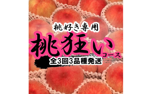 ＜2025年発送分先行予約＞山梨県南アルプス市産　桃狂い　【旬の桃3種】　旬を迎えた順から発送　【定期便　約1ｋｇ　全3回】 ALPAH022 285741 - 山梨県南アルプス市