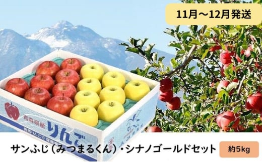 りんご 【11月～12月発送】 蜜入り サンふじ （ みつまるくん ） シナノゴールド セット 約 5kg 【 弘前市産 青森りんご 】 684402 - 青森県弘前市