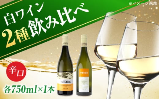 【12/18入金まで年内配送】TOMOEワイン2本セット A ワイン 受賞 飲み比べ ワインセット ギフト 三次市/広島三次ワイナリー[APAZ021] 313598 - 広島県三次市