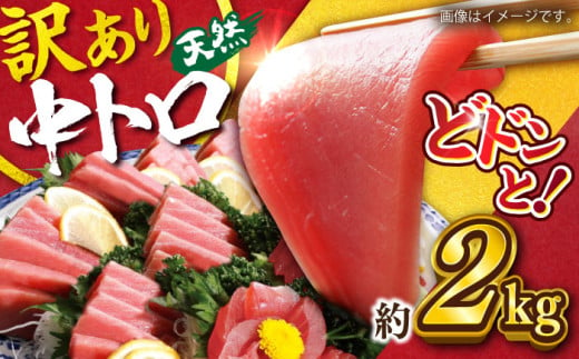 【訳あり】天然 まぐろ 中トロ（約2kg） 鮪 マグロ 魚 刺身 まぐろ あかみ 横須賀【横須賀商工会議所 おもてなしギフト事務局（本まぐろ直売所）】 [AKAK011] 1526240 - 神奈川県横須賀市