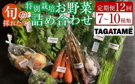 【定期便全12回】旬の採れたて 7～10種類お野菜詰め合わせセット(1～2名様)【野菜 特別栽培 1年間 栽培期間中農薬不使用 旬 採れたて 香川県 さぬき市】 1487191 - 香川県さぬき市