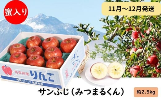 りんご 【11月～12月発送】 蜜入り サンふじ （ みつまるくん ）約 2.5kg 糖度13度以上 【 弘前市産 青森りんご 】 684400 - 青森県弘前市