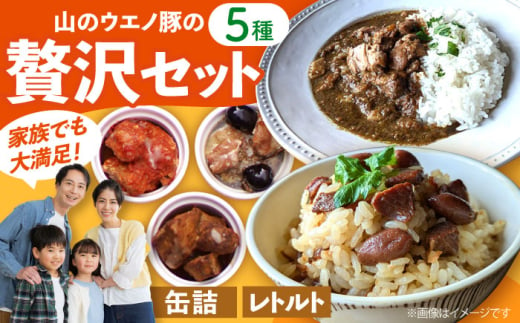 山のウエノ豚のご馳走レトルト・缶詰セット 5種（計730g）/ おつまみ レトルトカレー 炊き込みご飯 / 大村市 / 株式会社上野養豚 [ACBH003]