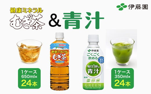 【伊藤園】健康ミネラルむぎ茶 1ケース（650ml×24本）＆ごくごく飲める！ 毎日1杯の青汁1ケース（350ml×24本）／伊藤園 麦茶 健康ミネラル麦茶 むぎ茶 カフェインゼロ 健康  青汁 無糖 あおじる 青じる カロリーゼロ 糖質ゼロ 毎日1杯の青汁 大麦若葉 ケール 抹茶 美容 野菜不足 箱買い ケース 大容量 TMP021 1537995 - 千葉県富里市