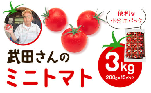 ＜ 先行予約 ＞ 武田さんのミニトマト 3kg 200g × 15パック 《7月中旬‐8月末頃出荷》武田賢一 徳島県 美馬市 ミニトマト 送料無料 野菜 とまと トマト 青果物 1166867 - 徳島県美馬市