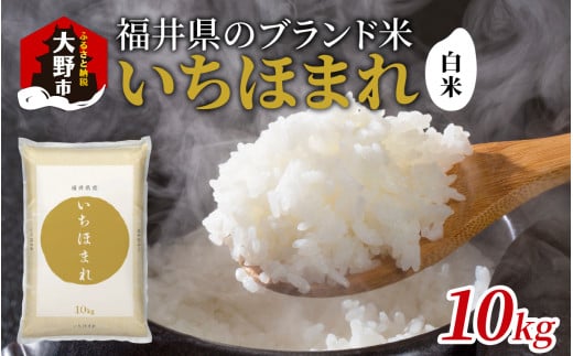 【令和6年産 新米】福井県産 いちほまれ（白米）10kg