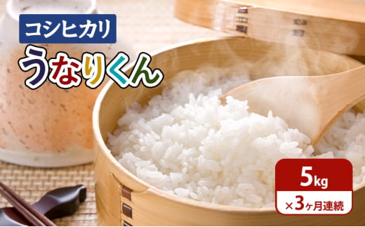 [№5904-0586]【令和6年度産】3ヶ月連続お届け「コシヒカリ」うなりくん5kg 白米 精米 米 こしひかり 成田市 千葉県