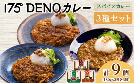 175DENOカレー 3種セット 各3袋 計9袋（無水カレー180g×9） 1550982 - 北海道札幌市