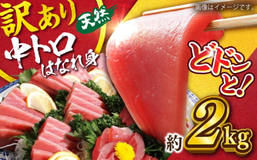 【訳あり】天然 まぐろ 中トロ はなれ身（約2kg） 鮪 マグロ 魚 刺身 横須賀【横須賀商工会議所 おもてなしギフト事務局（本まぐろ直売所）】 [AKAK015] 1526244 - 神奈川県横須賀市