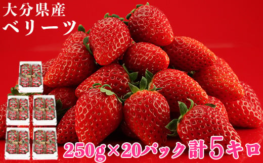 [1月発送]大分県産 ベリーツ 約5kg（約250g×20パック）／ いちご 5kg 先行予約 1月 甘い フルーツ 苺 スイーツ ＜133-201_5＞ 1097641 - 大分県杵築市