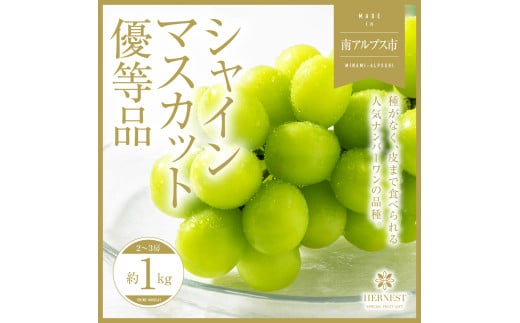 ＜2025年発送分先行予約＞山梨県南アルプス市産シャインマスカット　優等品　約1ｋｇ　2～3房 ALPAH008 1179922 - 山梨県南アルプス市