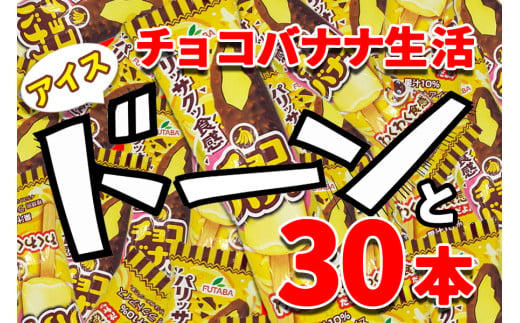 フタバ食品　アイス30本　チョコバナナ生活 891479 - 岩手県矢巾町