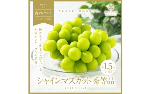 ＜2025年発送分先行予約＞山梨県南アルプス市産シャインマスカット　秀等品　約1.5ｋｇ　2～3房 ALPAH016 1116354 - 山梨県南アルプス市