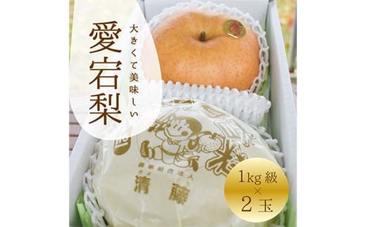 岡山県産 甘くてジューシー！愛宕梨2玉入(合計2kg～) 梨 和梨  赤梨 あたご梨 デザート フルーツ 果物 くだもの 果実 食品 TY0-0902