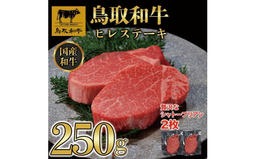 鳥取和牛ヒレステーキ　2枚（250g）364 1536364 - 鳥取県琴浦町