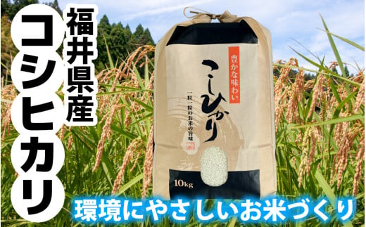 【令和6年産 新米】福井県産 ラクト農法 コシヒカリ　10kg 1521756 - 福井県小浜市