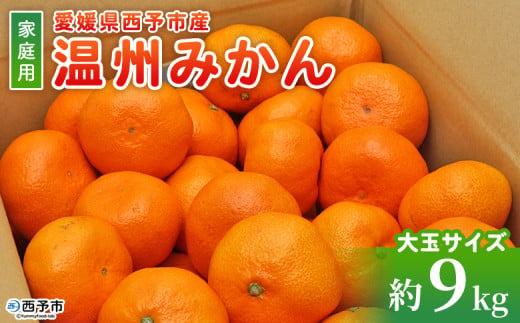 ＜愛媛県西予市産 温州みかん 大玉サイズ 家庭用 約9kg＞ 愛媛県産 西宇和 大玉 大きめ 家庭用 果物 フルーツ 柑橘 うんしゅうみかん ウンシュウミカン オレンジ ミカン 蜜柑 訳あり 小林果園 愛媛県 西予市 【常温】