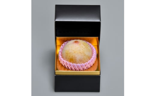 長野県オリジナル品種　数量限定のプラム＜麗玉(R)＞1玉250g化粧箱(糖度18度以上保証)_ プラム 果物 くだもの フルーツ 人気 おすすめ 贈答 ギフト 送料無料 お取り寄せ 長野 数量限定 【1477987】