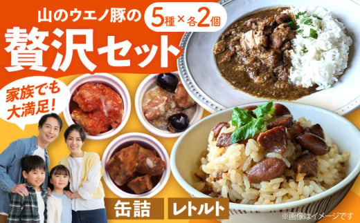 山のウエノ豚のご馳走レトルト・缶詰セット 5種×各2個（計1.46kg）/ おつまみ レトルトカレー 炊き込みご飯 / 大村市 / 株式会社上野養豚 [ACBH004]