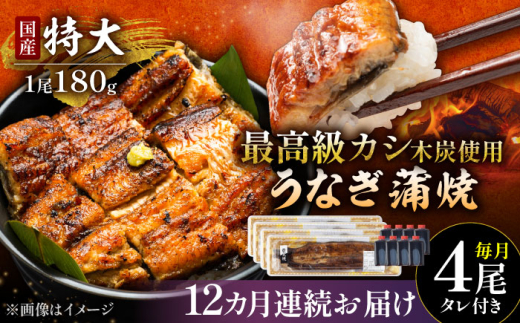 【12回定期便】国産 本格炭火焼 特大 うなぎ 蒲焼 4尾（180g×4尾）/炭火焼古賀 [UDH046]