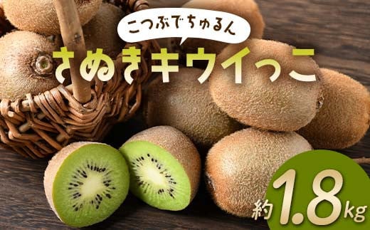 【旬な時期にお届けします！11月下旬～12月中旬 】 こつぶでちゅるん さぬきキウイっこ 約1.8kg 糖度 17～20度 一口サイズ 香川 四国 フルーツ 果物 くだもの キウイ キュウイ 果実 フルーツ 旬  香川県 香川県共通返礼品 F5J-544 1550110 - 香川県琴平町