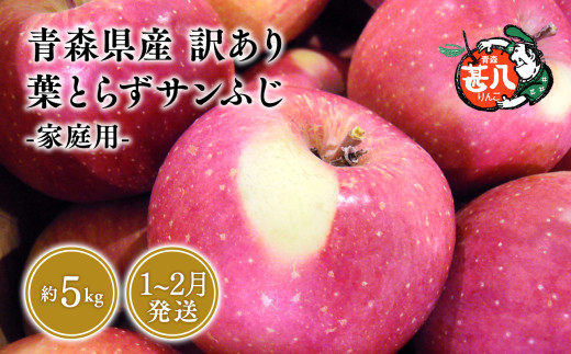 １～２月発送 訳あり 家庭用 甚八りんご葉とらずサンふじ5kg 【マルジンサンアップル 1月 2月 青森県産 平川市 りんご 葉とらずサンふじ 5kg 訳あり 家庭用】