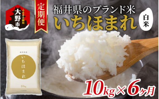 【6ヶ月定期便】【令和6年産 新米】福井県産 いちほまれ（白米）10kg×6回　計60kg