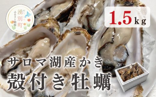 ≪先行予約2025年11月から発送開始≫湧別町サロマ湖産殻付きカキ1.5kg 牡蠣 海鮮 魚介 国産 貝付き 生牡蠣 生食 焼き牡蠣 蒸し牡蠣