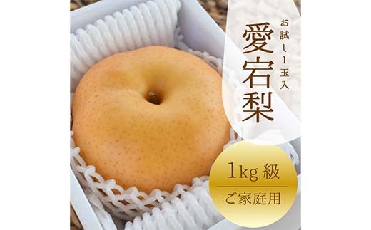 岡山県産 ご家庭用愛宕梨 ご家庭用 1玉/1kg～ 梨 和梨  赤梨 あたご梨 ジャンボ明日香梨 デザート フルーツ 果物 くだもの 果実 食品 TY0-0912