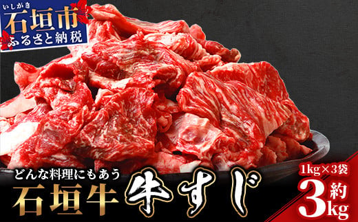 石垣牛・牛すじ ３kg （1kg×3） 冷凍便【 沖縄県 石垣市 牛肉 お肉 牛スジ 牛筋 煮込み おでん カレー 】 SI-86 1449189 - 沖縄県石垣市