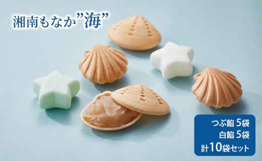 湘南もなか ”海” 最中 モナカ 和菓子 粒あん 白あん 小豆 スイーツ 個包装 クゲヌマシミズ 手土産 ギフト 贈り物 お取り寄せ グルメ KUGENUMASHIMIZU GINZASIX テラスモール湘南 藤沢市 神奈川 1538437 - 神奈川県藤沢市