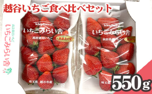 No.151 越谷いちご食べ比べセット　550g ／ イチゴ 苺 果物 フルーツ 埼玉県 特産品 1538431 - 埼玉県越谷市