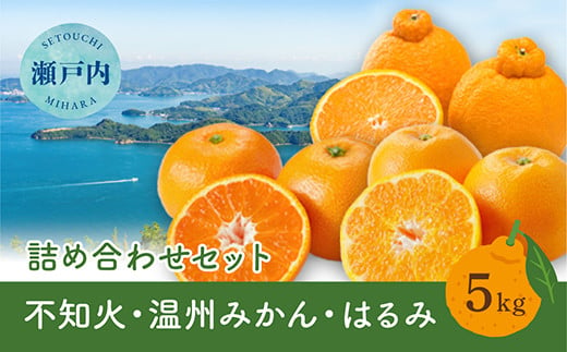 【先行受付】瀬戸内 旬の柑橘詰め合わせ 約5kg 白鷺農園《2025年2月下旬-4月上旬頃出荷》温州ミカン ハルミ. 不知火 デコポン と同品種  柑橘 フルーツ 果物 はるみ みかん しらぬい デコポン 贈答 164004 1538256 - 広島県三原市