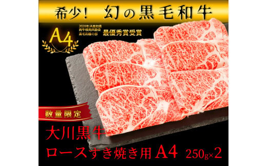 国産黒毛和牛 大川黒牛 ロース すき焼き用 スライス A4（250g×2パック） 国産 黒毛和牛 A4 ロース 牛肉 すき焼き すきやき スキヤキ 記念日 お祝い 牛 ビーフ 肉 食品 高知県 大川村 F6R-024 790006 - 高知県大川村