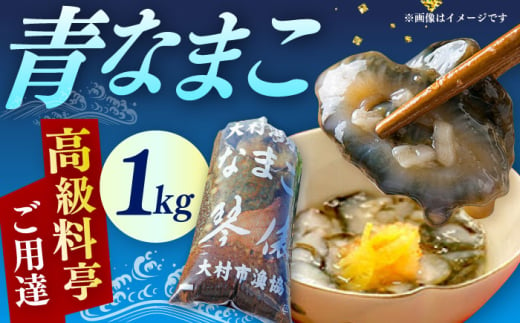 大村湾産 大村 青ナマコ 「琴俵」 1kg / なまこ 珍味 / 大村市漁業協同組合 / 大村市 [ACAP002]