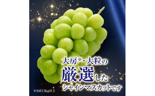 長野県中野市のふるさと納税 2025年先行予約　9月上旬～10月下旬発送JA中野市大粒 大房シャインマスカット2房1.3kg以上【1459211】