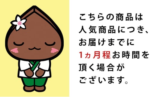 北海道幌加内町のふるさと納税 [№5795-0347]白銀の郷 200g×10束（20人前） 十割 そば 北海道 幌加内 蕎麦 乾麺 麺 常温 年越し ソバ 引越し 北海道 十割そば グルメ 無塩 備蓄 保存食 無添加 食塩不使用 麺 国産 グルテンフリー お取寄 ギフト 贈物 まとめ買い 人気 ほろかない