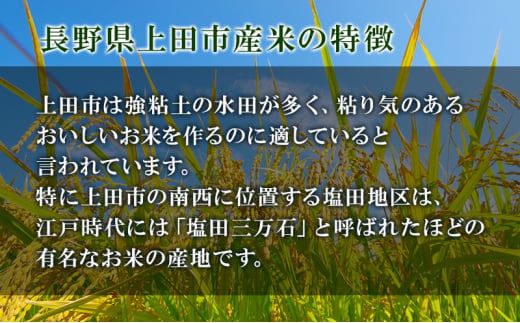 長野県上田市のふるさと納税 米 長野 コシヒカリ 5kg お米 こめ コメ おこめ 白米 精米 5キロ こしひかり 信州 長野県 上田市 上田 [№5312-1037]