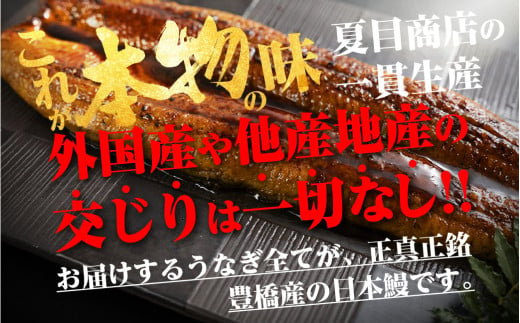 愛知県豊橋市のふるさと納税 【すぐにお届け】極上 豊橋うなぎ 蒲焼 3尾 ~450g 夏目商店