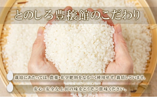 長野県上田市のふるさと納税 米 長野 コシヒカリ 5kg お米 こめ コメ おこめ 白米 精米 5キロ こしひかり 信州 長野県 上田市 上田 [№5312-1037]