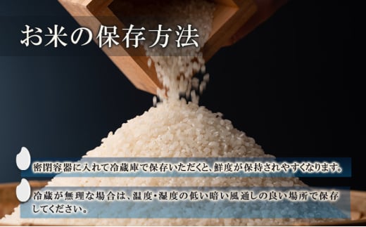 長野県上田市のふるさと納税 米 長野 コシヒカリ 6kg （2kg×3個） 小分け お米 こめ コメ おこめ 白米 精米 こしひかり 信州 長野県 上田市 上田 [№5312-1036]