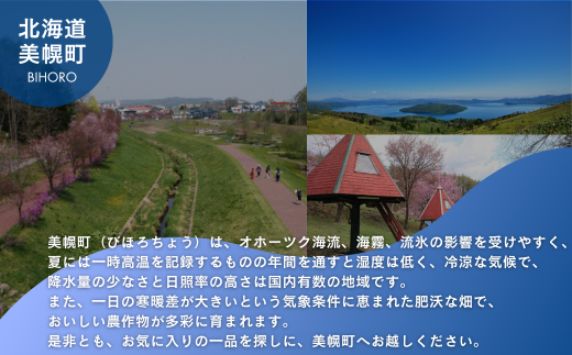 北海道美幌町のふるさと納税 [先行受付]2025年産 柔らかくて瑞々しい朝取りグリーンアスパラ(春芽)2L 1kg【配送不可地域：離島】 ふるさと納税 人気 おすすめ ランキング アスパラ アスパラガス グリーンアスパラ 朝どれ 新鮮 野菜 北海道 美幌町 送料無料 BHRG029