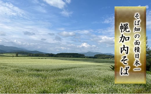 北海道幌加内町のふるさと納税 [№5795-0347]白銀の郷 200g×10束（20人前） 十割 そば 北海道 幌加内 蕎麦 乾麺 麺 常温 年越し ソバ 引越し 北海道 十割そば グルメ 無塩 備蓄 保存食 無添加 食塩不使用 麺 国産 グルテンフリー お取寄 ギフト 贈物 まとめ買い 人気 ほろかない