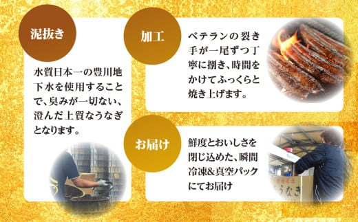 愛知県豊橋市のふるさと納税 【すぐにお届け】極上 豊橋うなぎ 蒲焼 3尾 ~450g 夏目商店